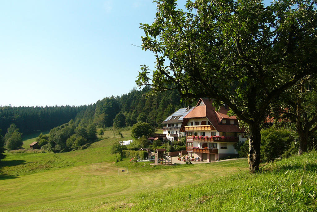 Schlosshof - Der Urlaubsbauernhof Villa Elzach Dış mekan fotoğraf